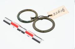Foto von Bronzering (NHMW-PRAE-025616)